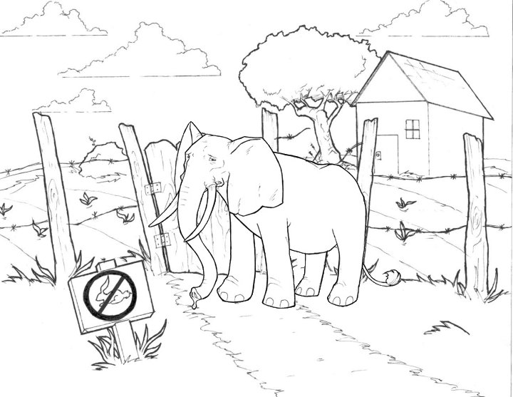 elephant printable coloring pages