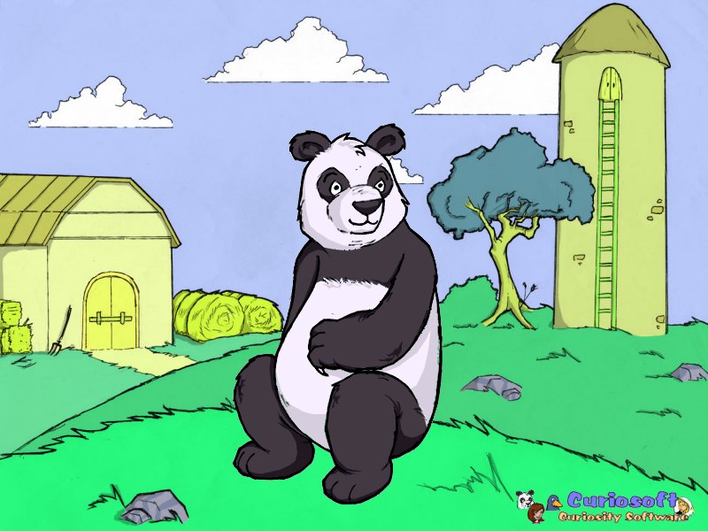 panda. 800x600